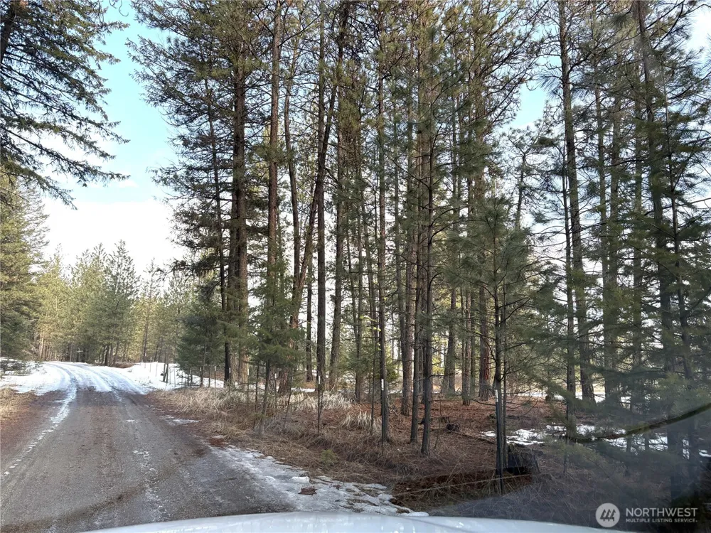 0 Tamarack Road Tonasket, WA 98855