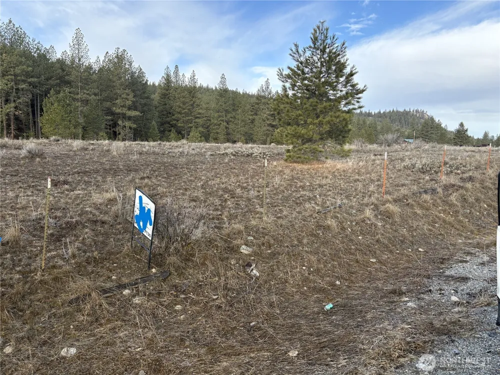 0 Tamarack Road Tonasket, WA 98855