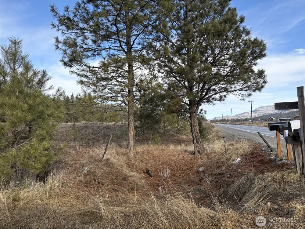 0 Tamarack Road Tonasket, WA 98855