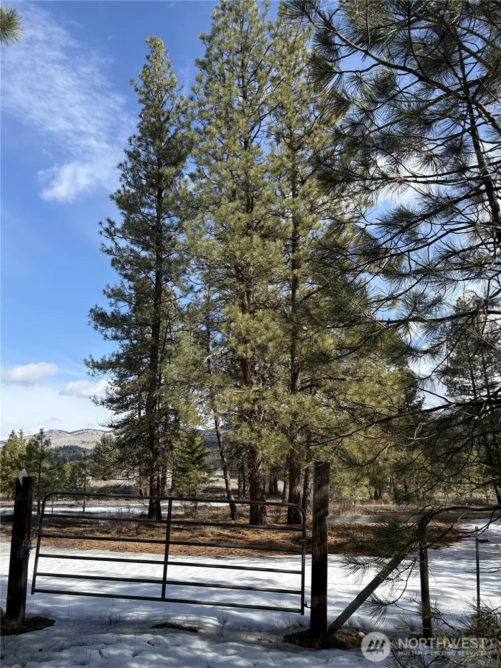 0 Tamarack Road Tonasket, WA 98855