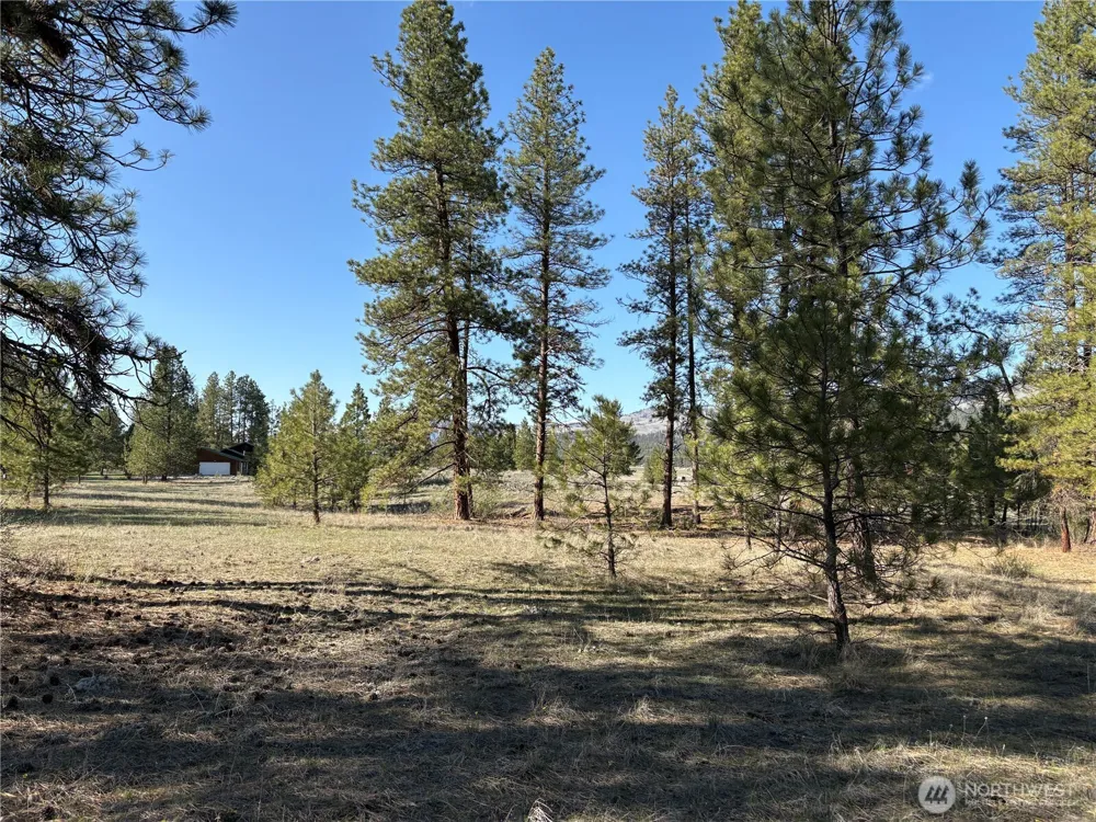 0 Tamarack Road Tonasket, WA 98855