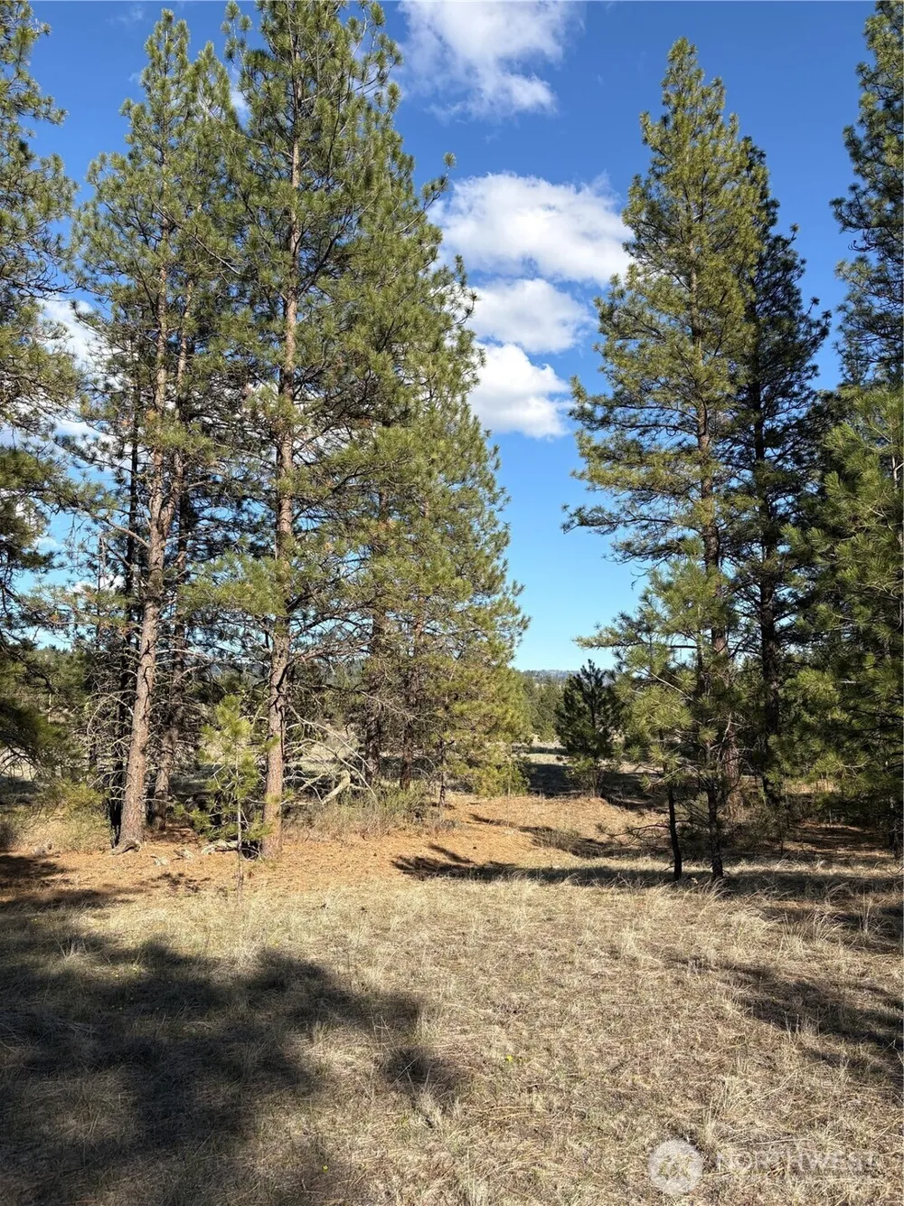 0 Tamarack Road Tonasket, WA 98855