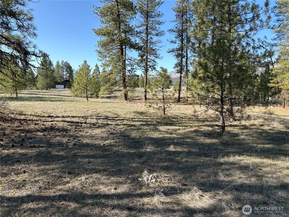 0 Tamarack Road Tonasket, WA 98855