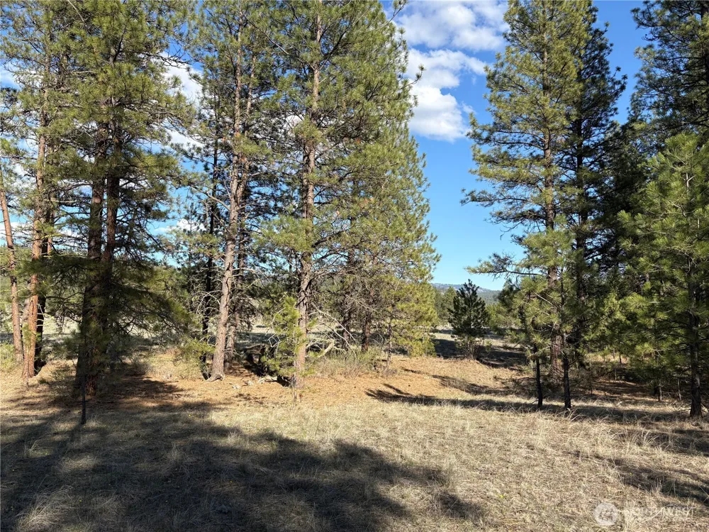0 Tamarack Road Tonasket, WA 98855