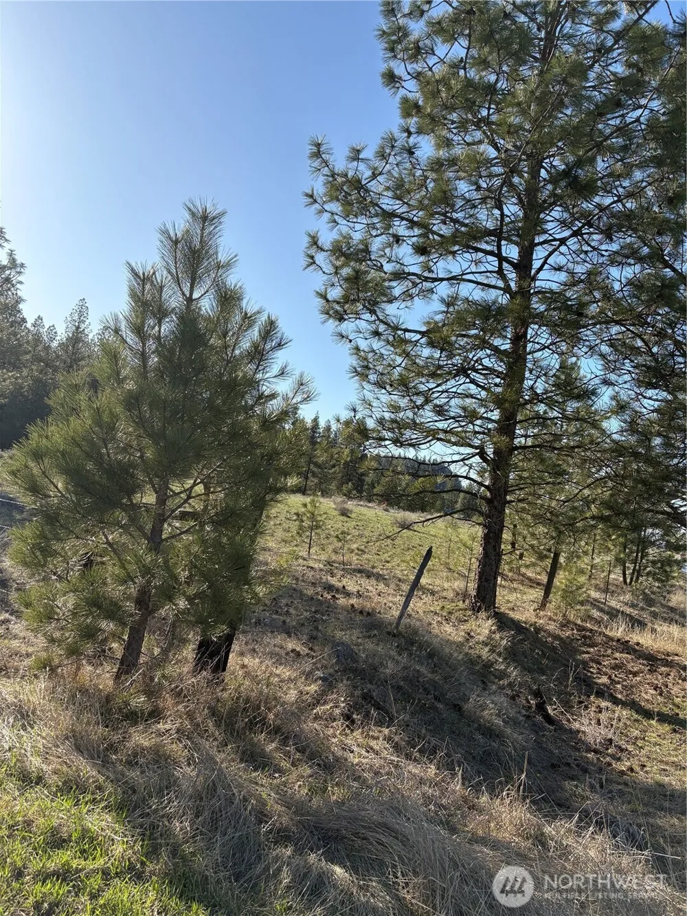 0 Tamarack Road Tonasket, WA 98855