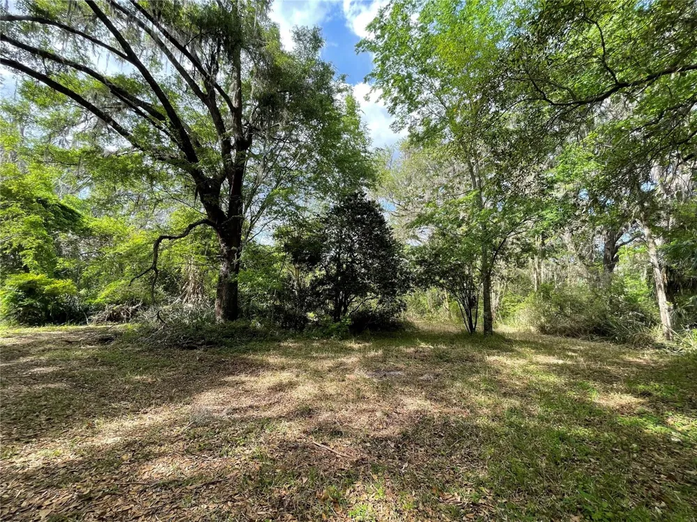 17400 NW 120TH AVE ROAD Reddick, FL 32686