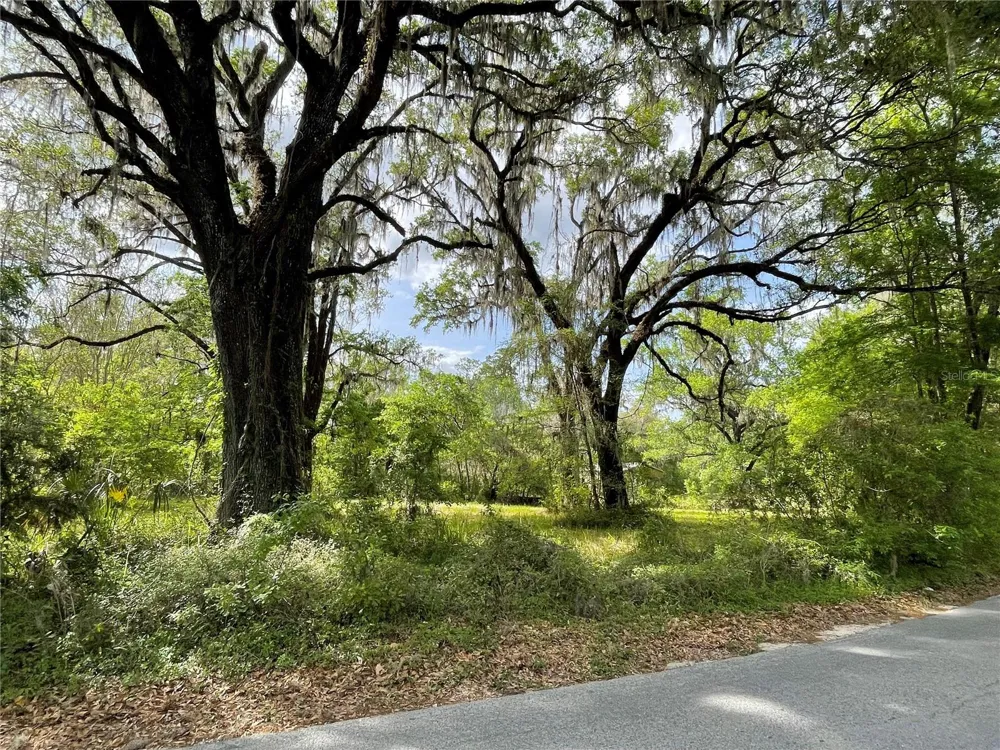 17400 NW 120TH AVE ROAD Reddick, FL 32686