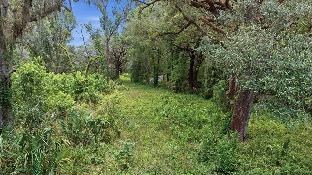 17400 NW 120TH AVE ROAD Reddick, FL 32686