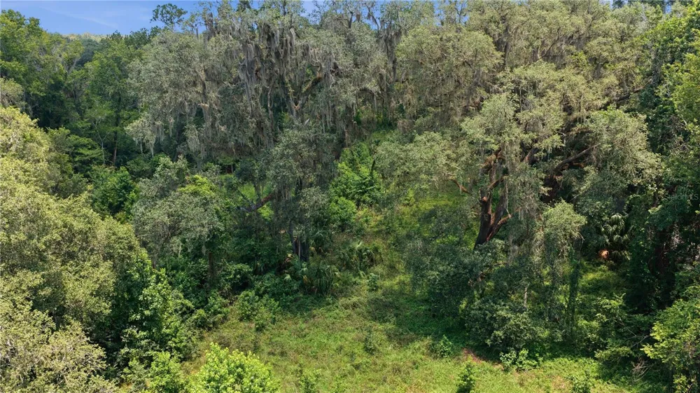 17400 NW 120TH AVE ROAD Reddick, FL 32686
