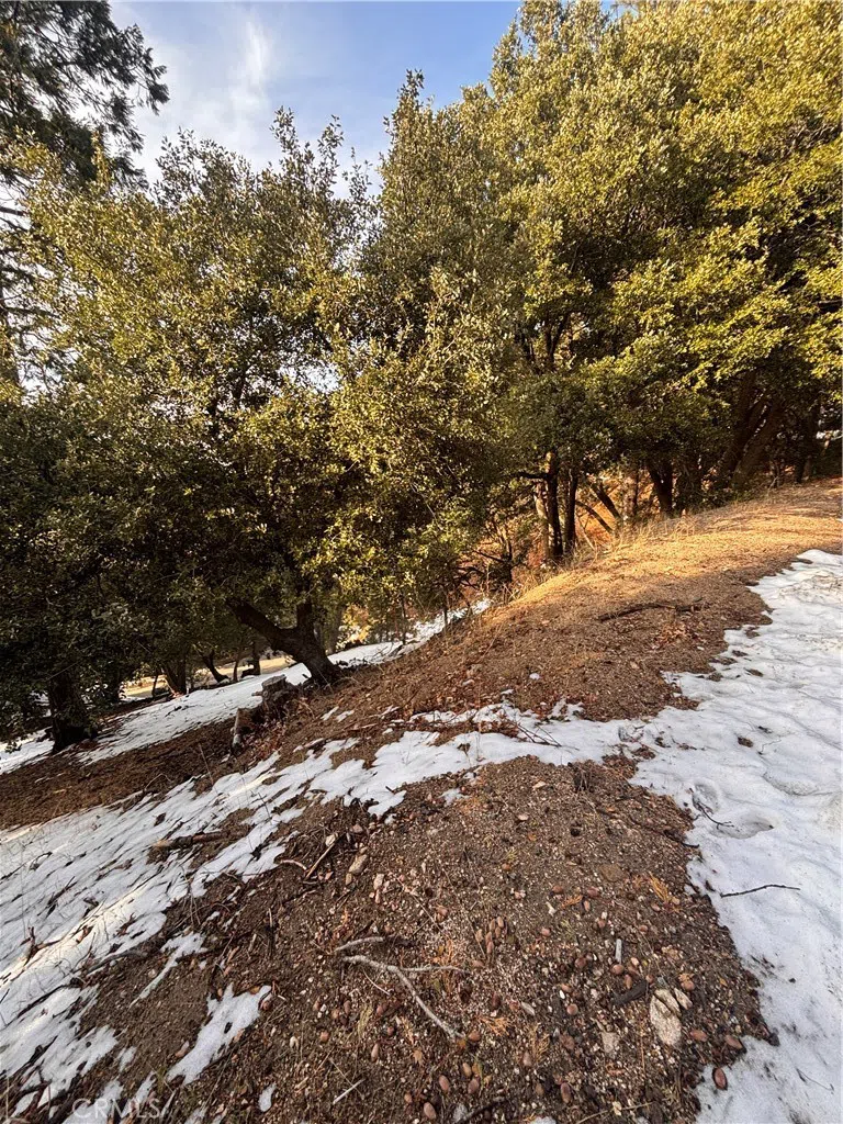 North Rd Twin Peaks, CA 92391