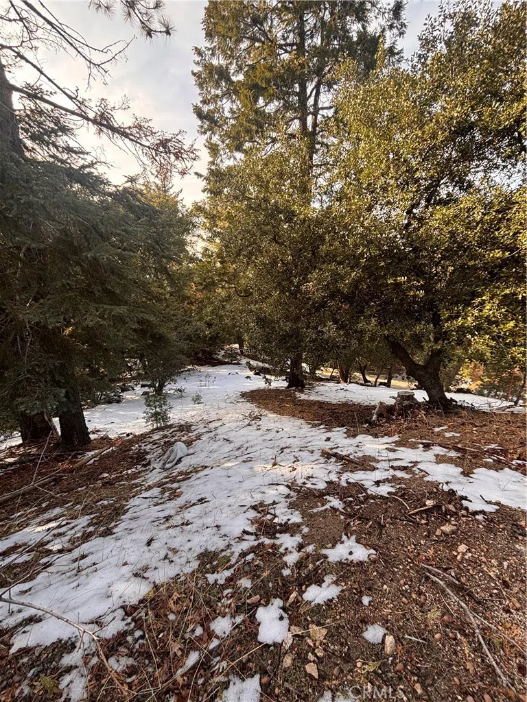 North Rd Twin Peaks, CA 92391