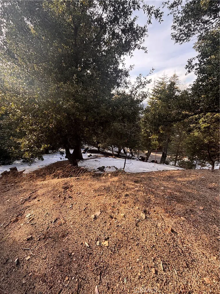 North Rd Twin Peaks, CA 92391