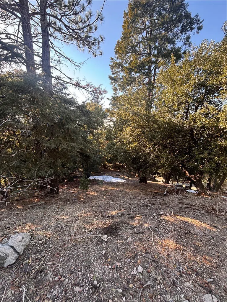 North Rd Twin Peaks, CA 92391