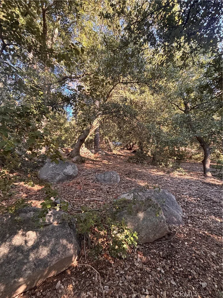 North Rd Twin Peaks, CA 92391