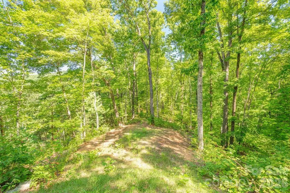 145 Mountain Forest Drive Union Mills, NC 28167