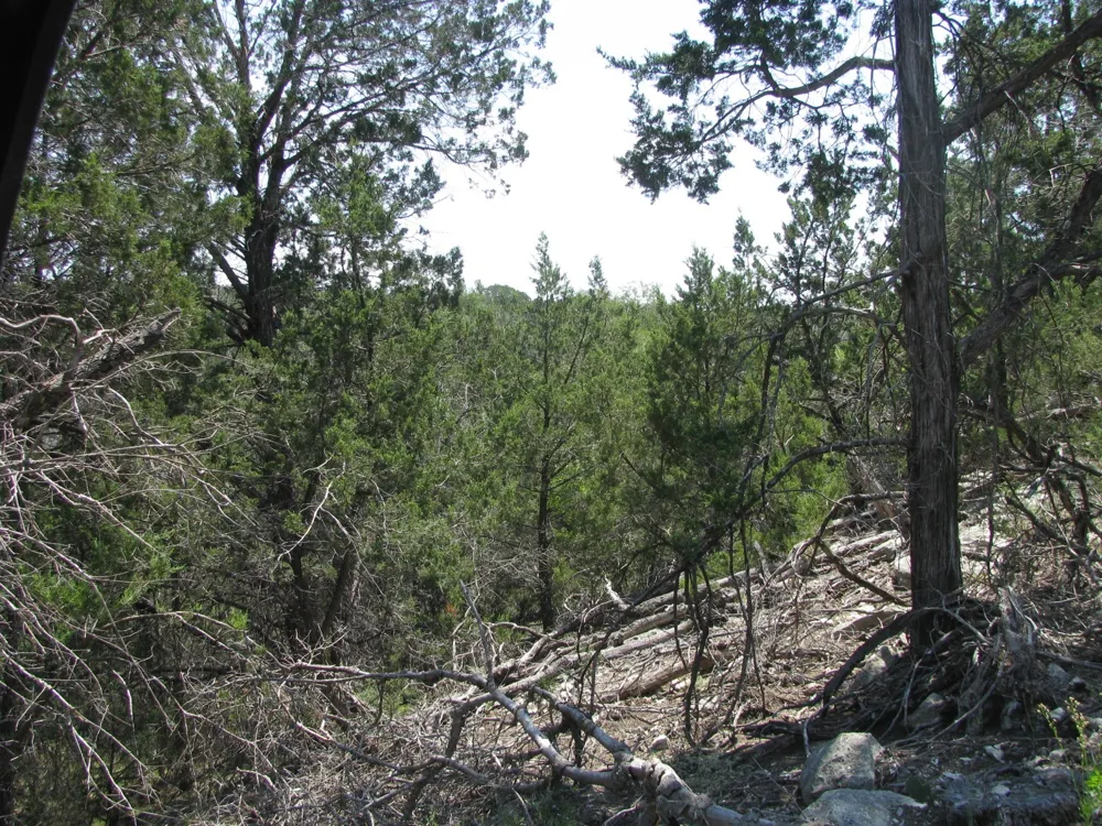 Private Road Evant, TX 76525