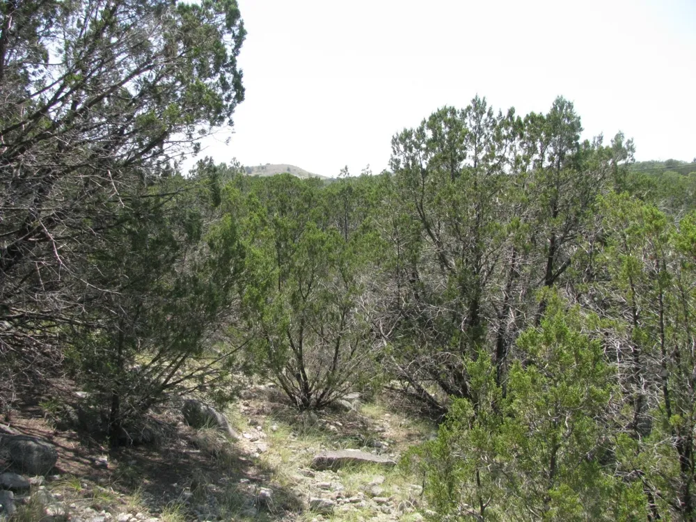 Private Road Evant, TX 76525