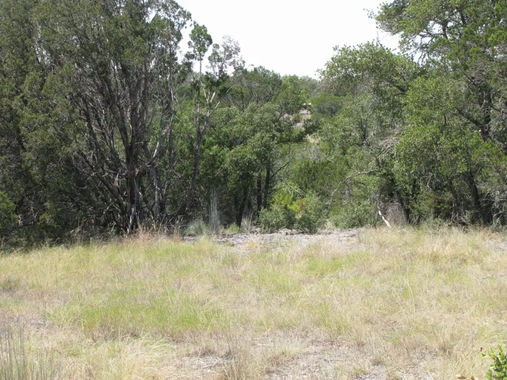 Private Road Evant, TX 76525