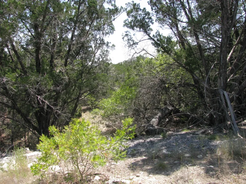 Private Road Evant, TX 76525