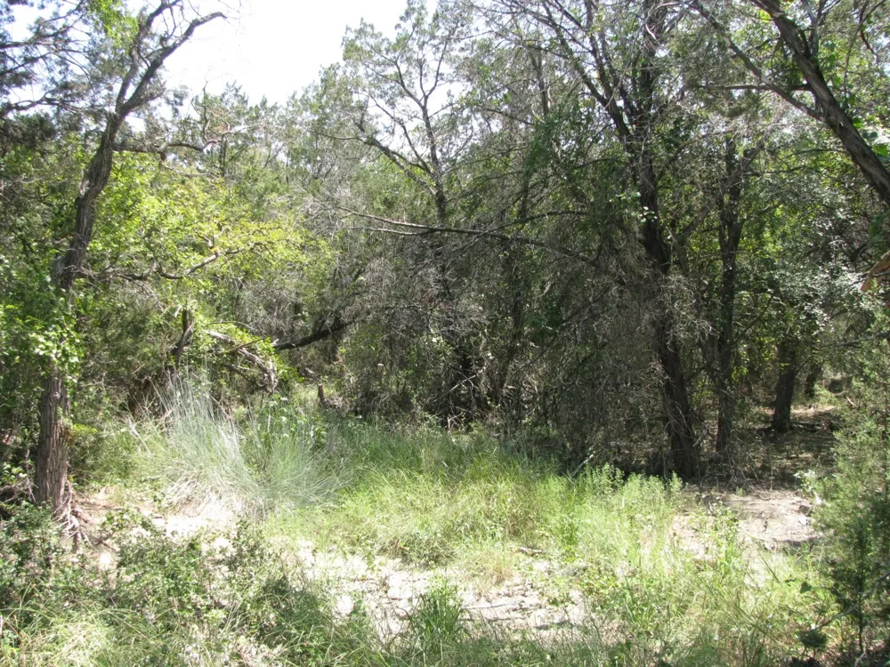 Private Road Evant, TX 76525