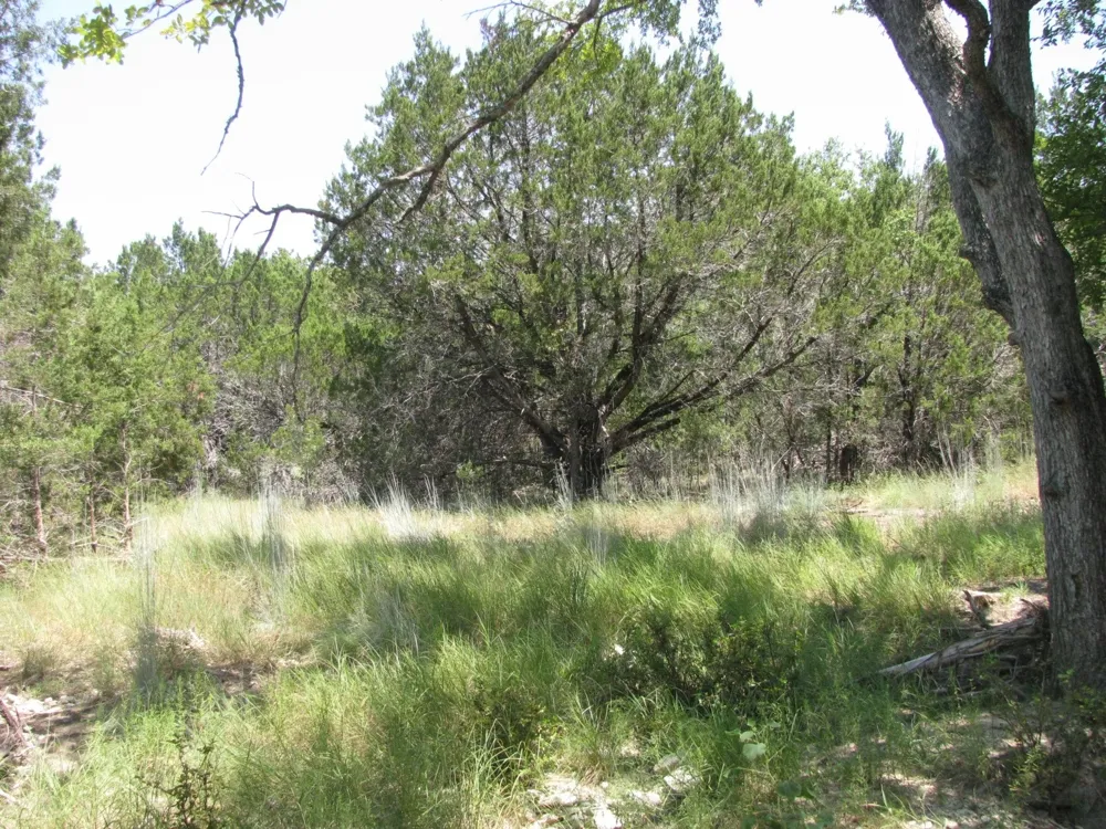 Private Road Evant, TX 76525