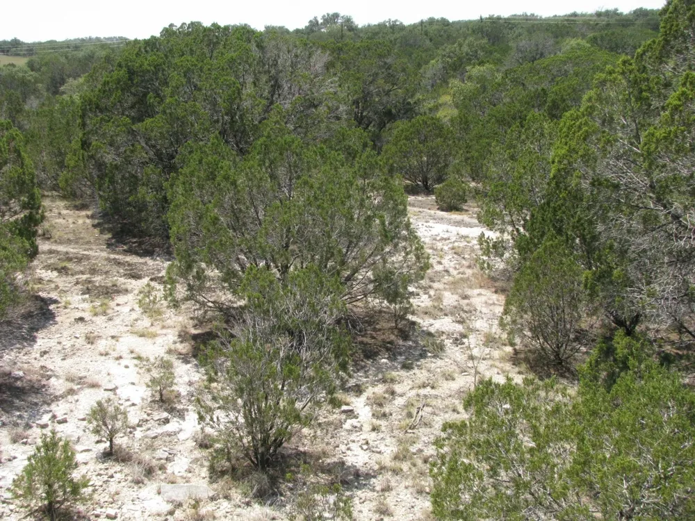 Private Road Evant, TX 76525