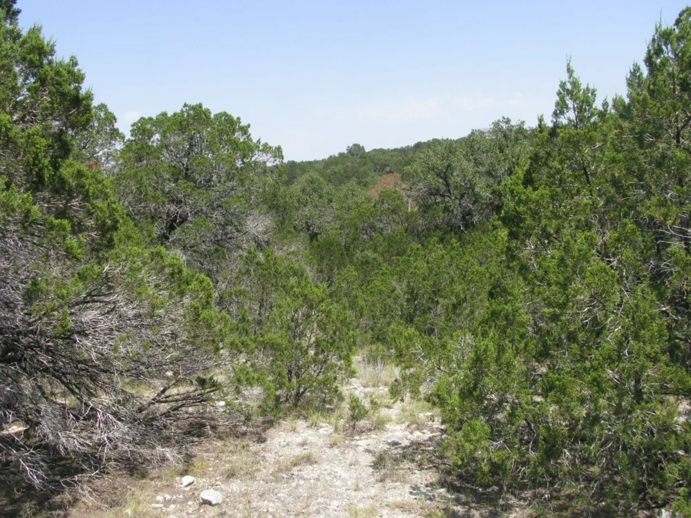 Private Road Evant, TX 76525