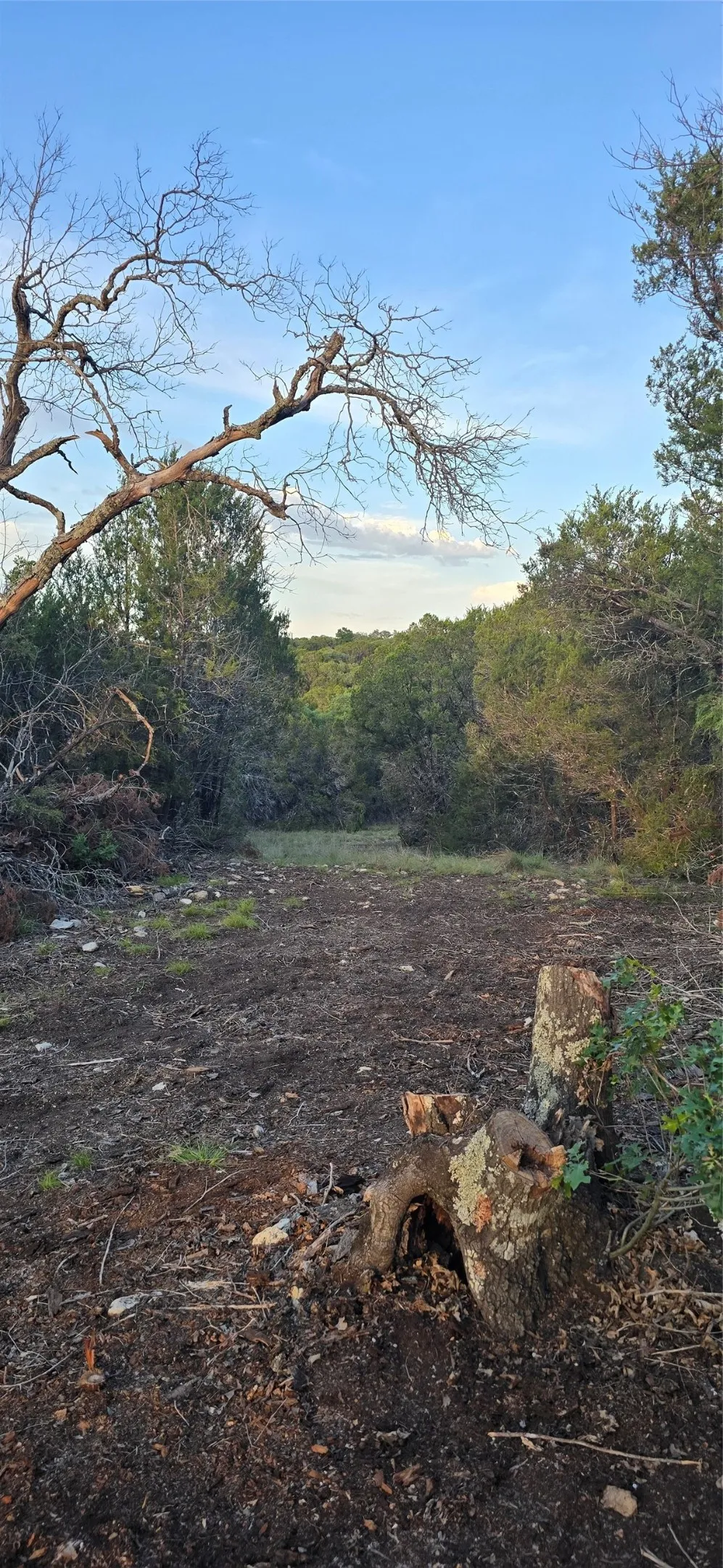 Private Road Evant, TX 76525