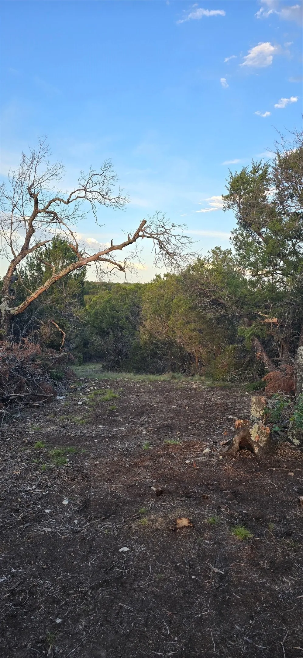 Private Road Evant, TX 76525