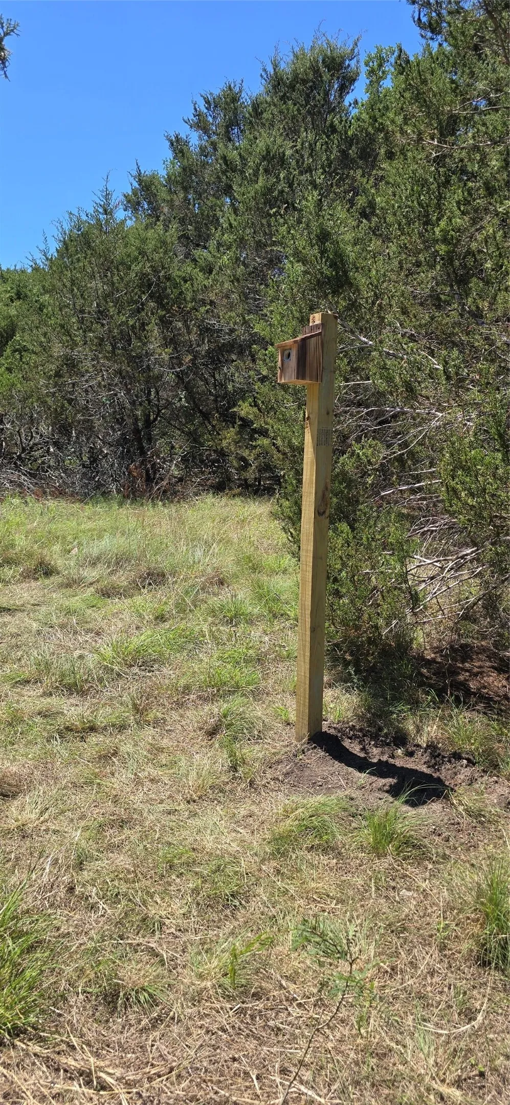 Private Road Evant, TX 76525