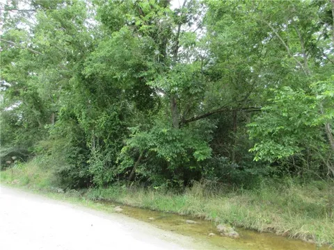 Roosevelt Street
