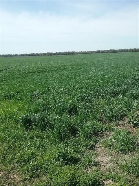 Dale Acres Road
