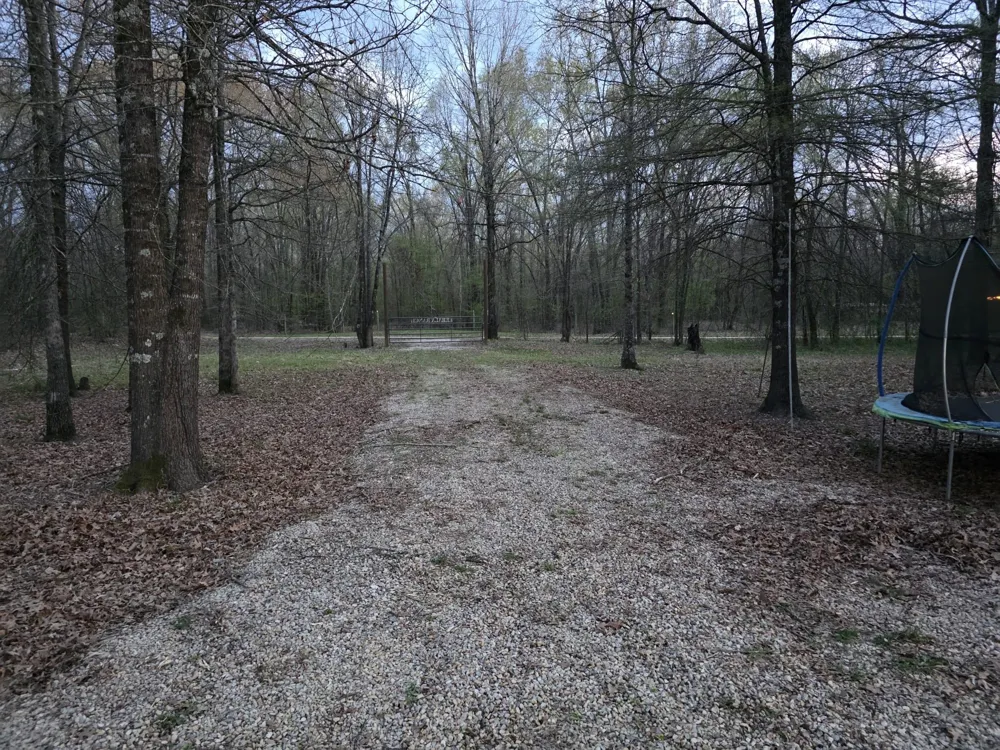 160 Zigler Road Avery, TX 75554