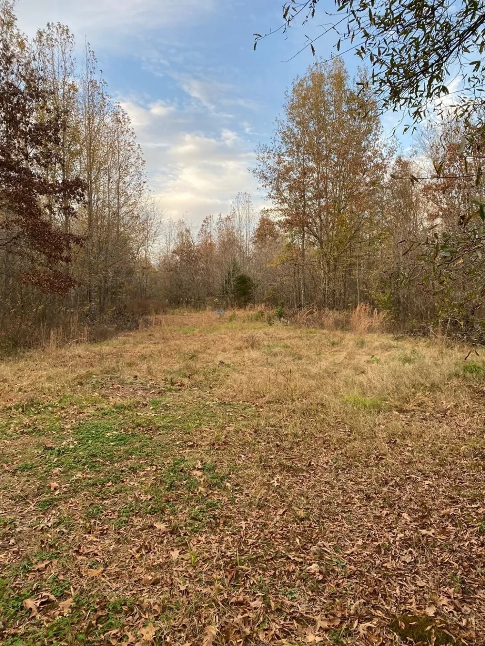 160 Zigler Road Avery, TX 75554