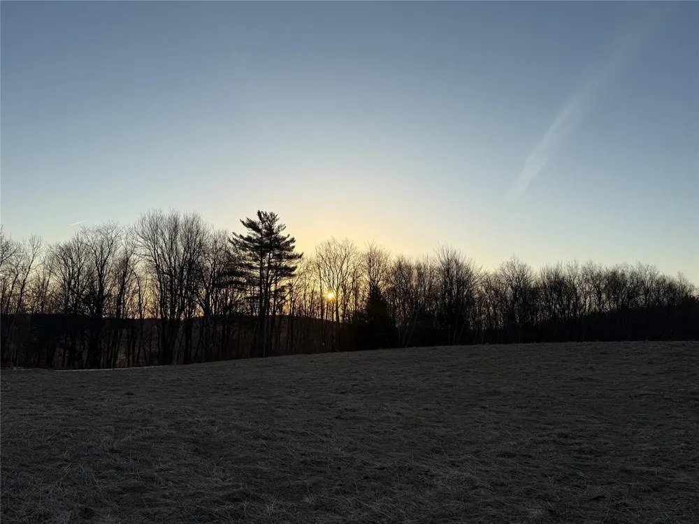 2182 Snake Hill Road Call Listing Agent, NY 13775