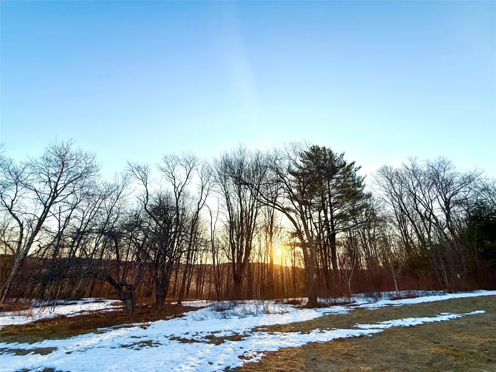 2182 Snake Hill Road Call Listing Agent, NY 13775