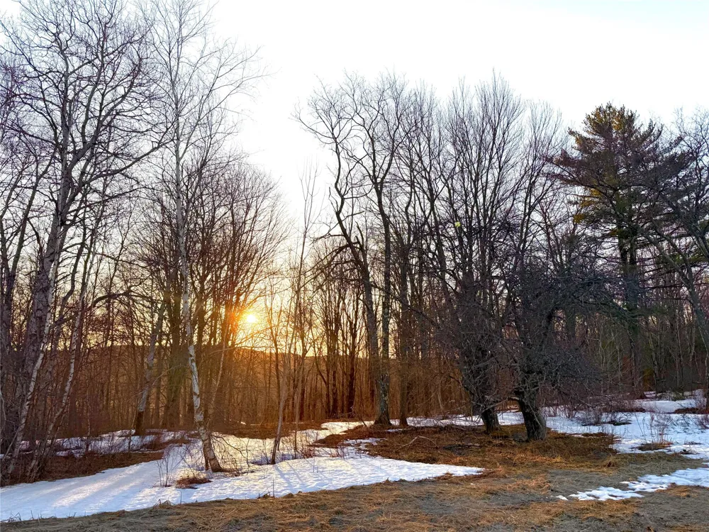 2182 Snake Hill Road Call Listing Agent, NY 13775