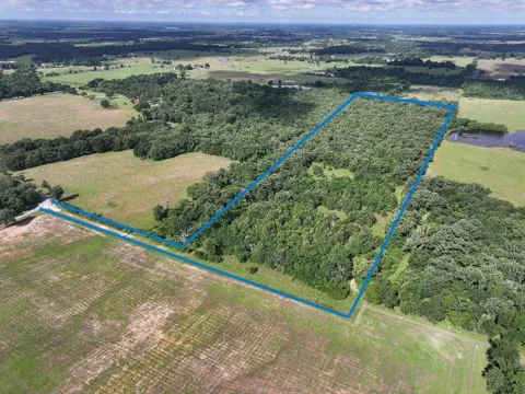 760 VZ County Road #2315