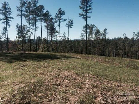 5619 Channel View Cove Granite Falls, NC 28630