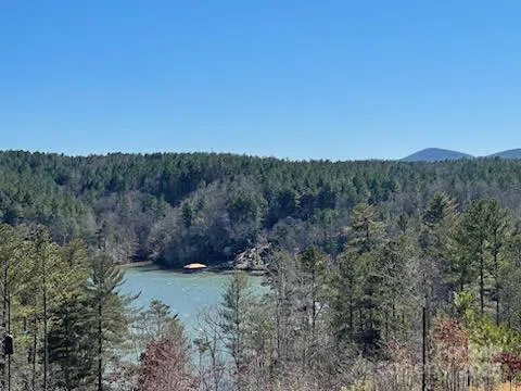 5619 Channel View Cove Granite Falls, NC 28630