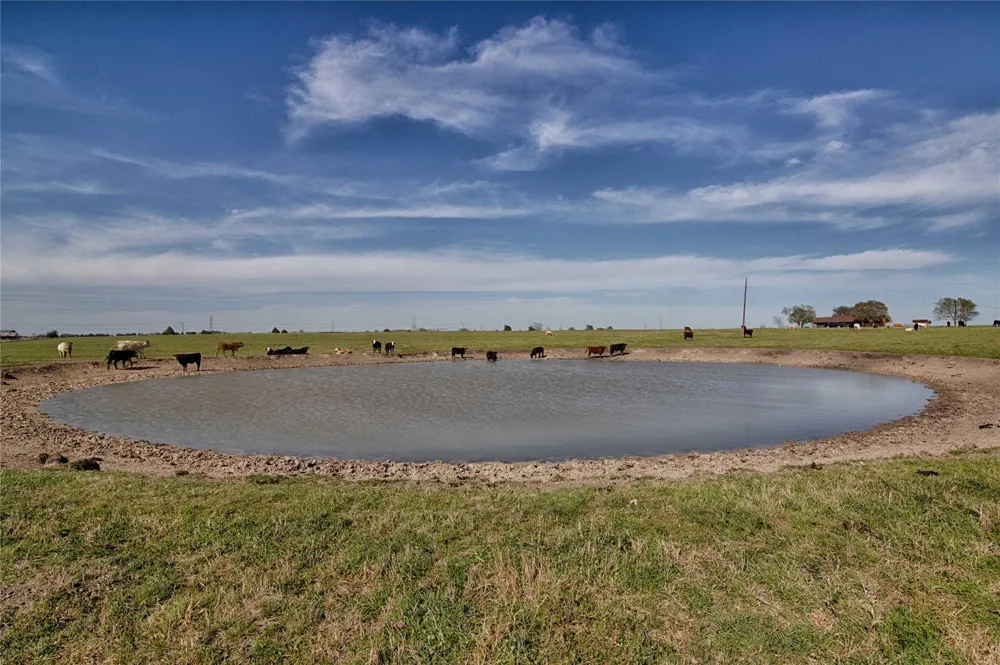 11552 Fm 1383 Schulenburg, TX 78956