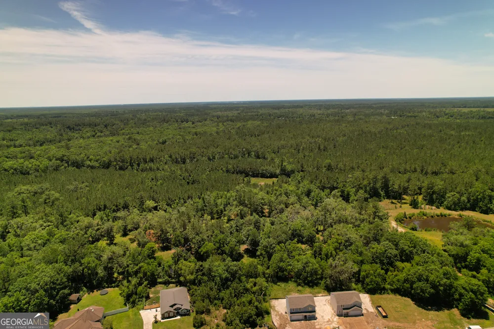 0 Acres Kingsland, West of Hwy 17 Kingsland, GA 31548