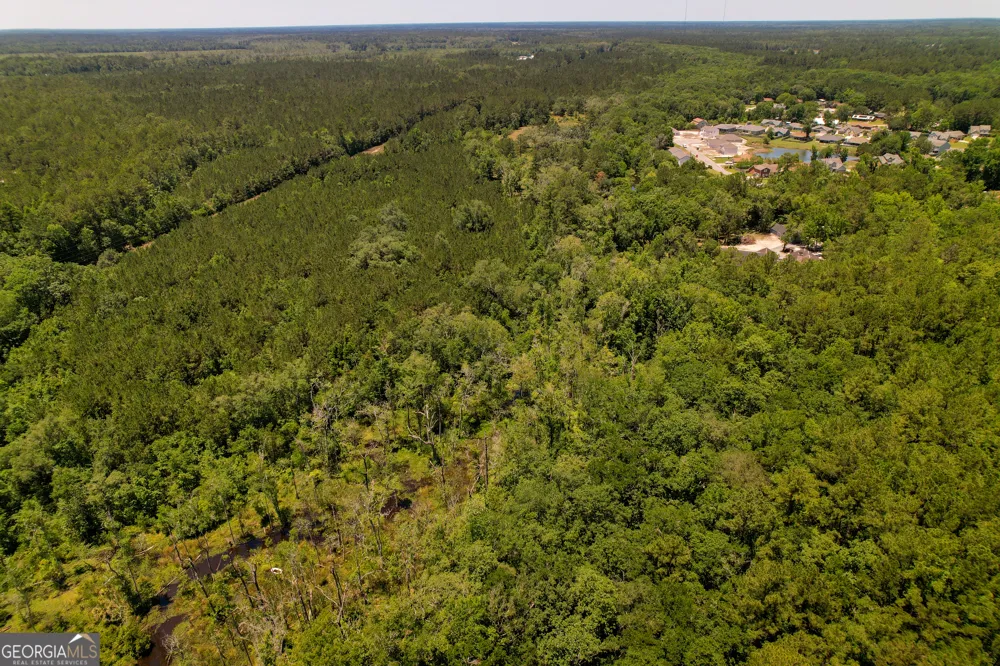 0 Acres Kingsland, West of Hwy 17 Kingsland, GA 31548