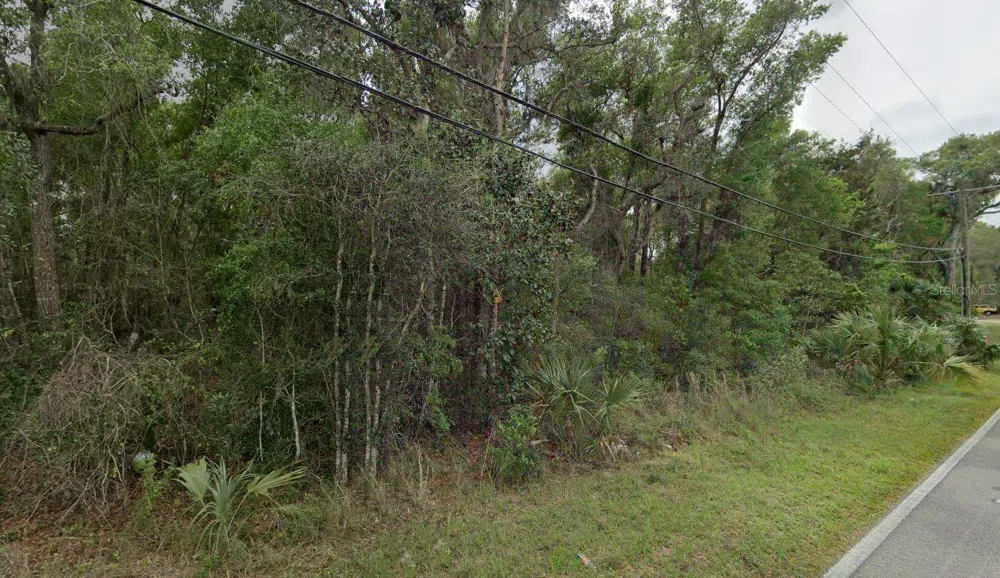 REYNOLDS ROAD De Leon Springs, FL 32130