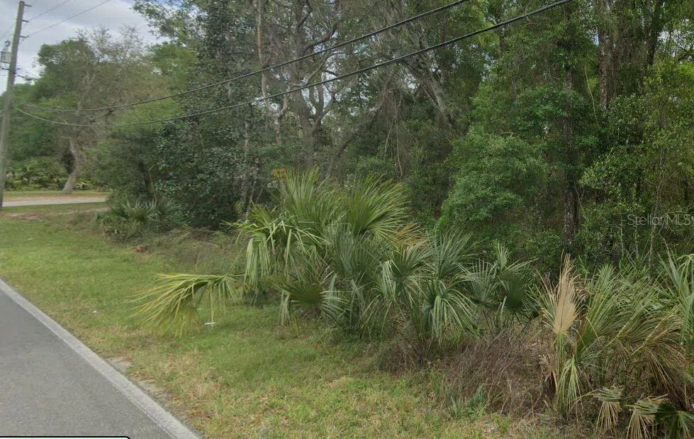 REYNOLDS ROAD De Leon Springs, FL 32130