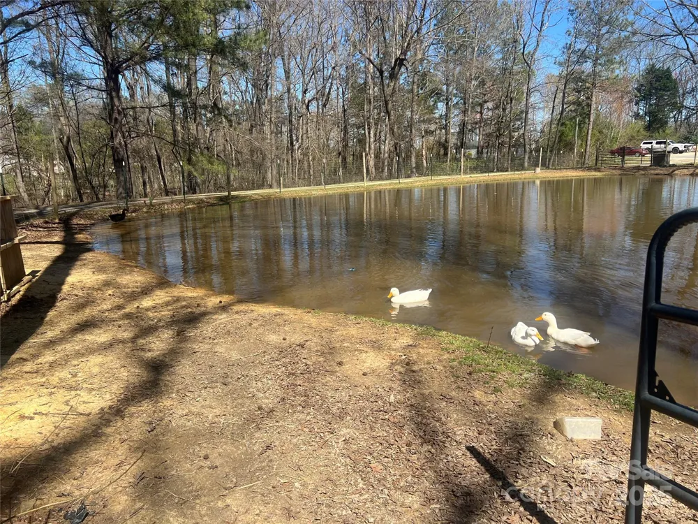 171 Courtney Place Lane Pageland, SC 29728