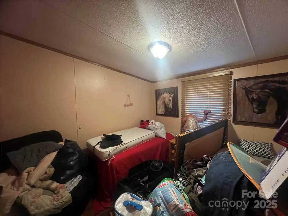 171 Courtney Place Lane Pageland, SC 29728