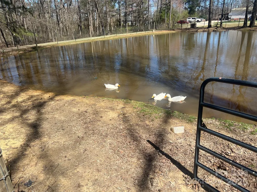 171 Courtney Place Lane Pageland, SC 29728