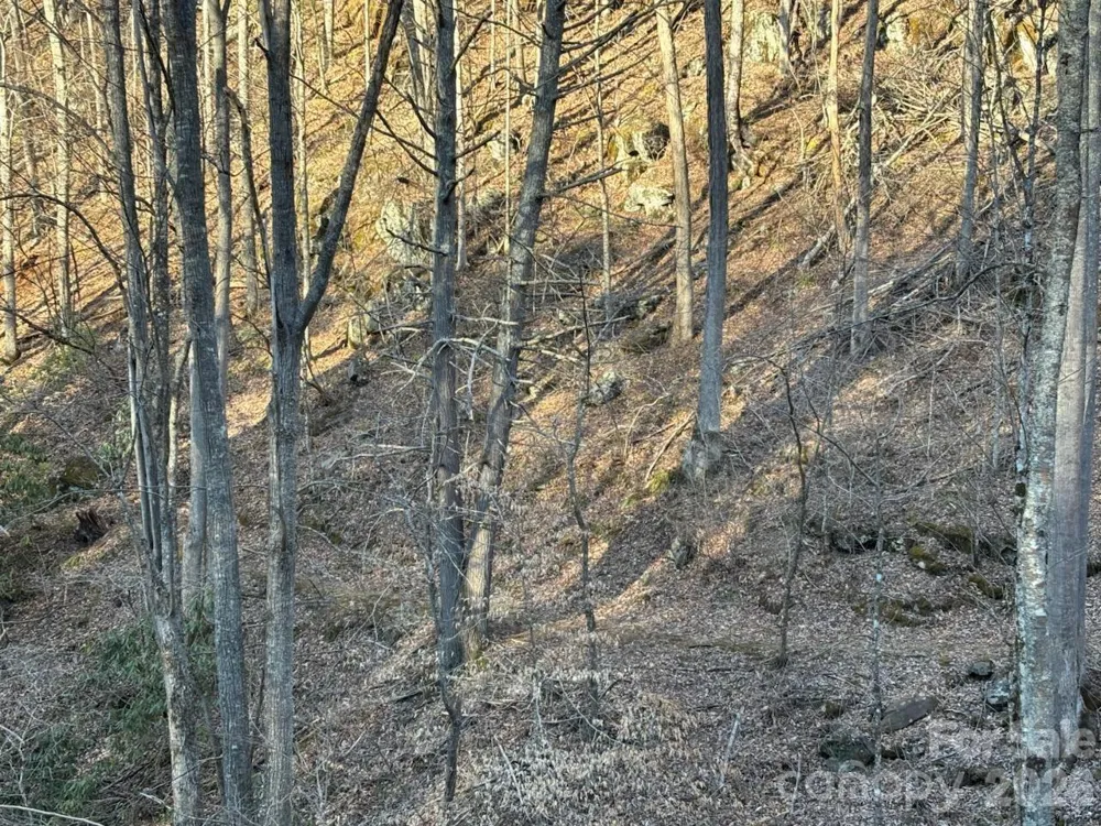 324 Marble Mine Road Bakersville, NC 28705
