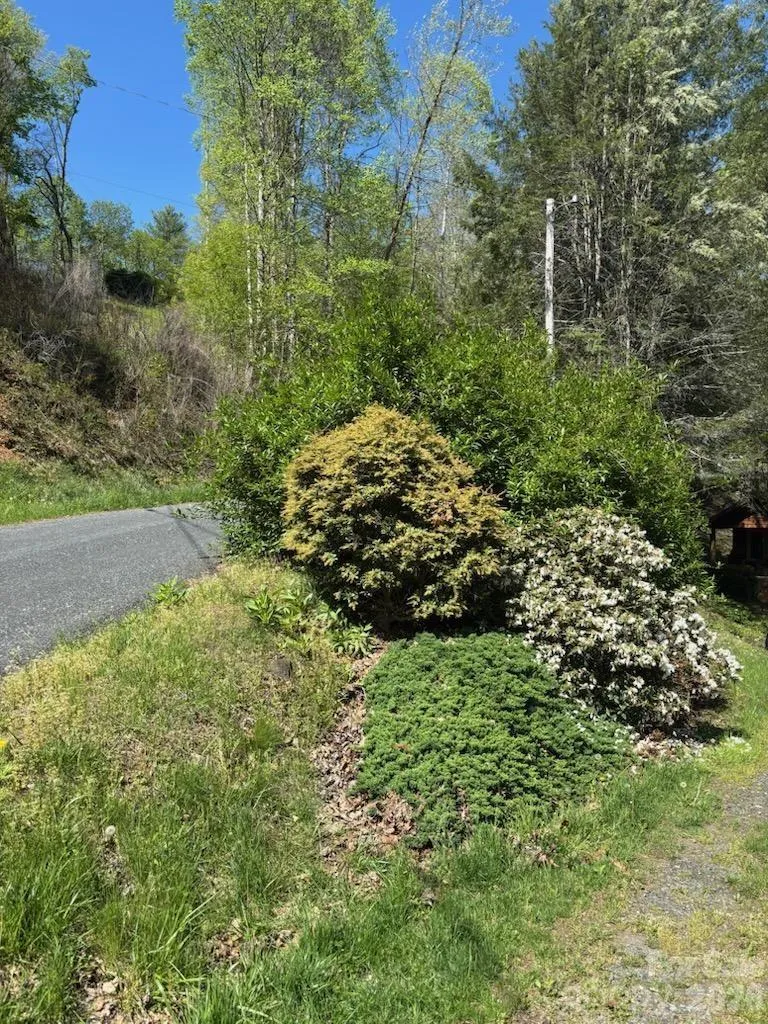 324 Marble Mine Road Bakersville, NC 28705
